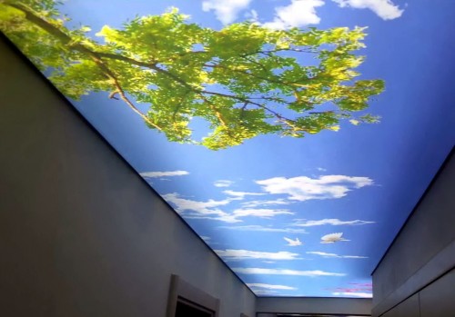 3D натяжной потолок в коридоре